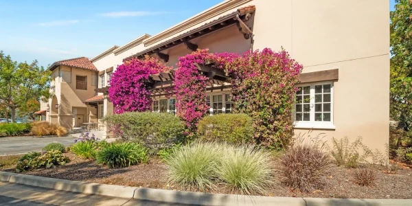 Alsana Monterey PHP/IOP