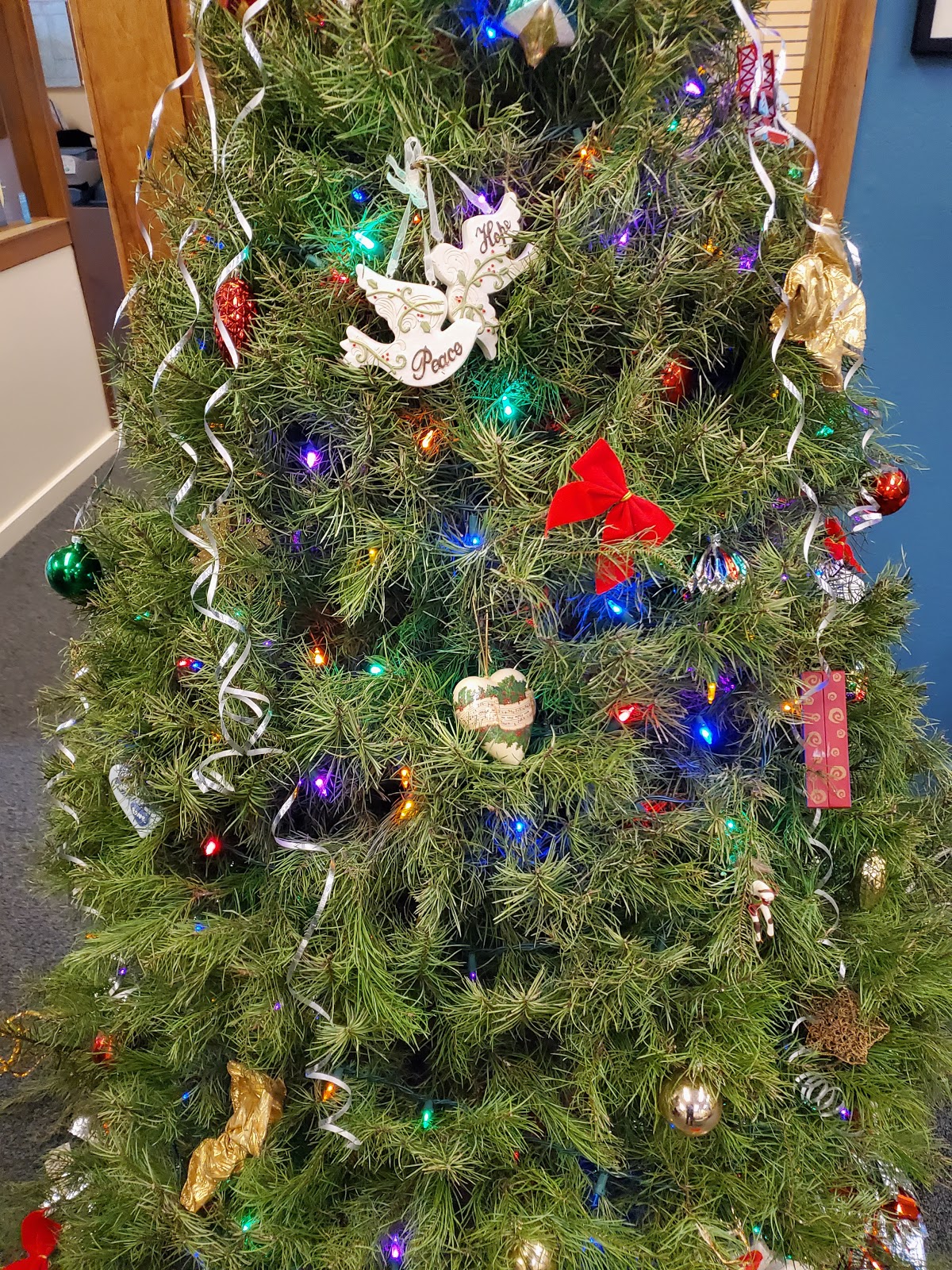 Marin Treatment Center